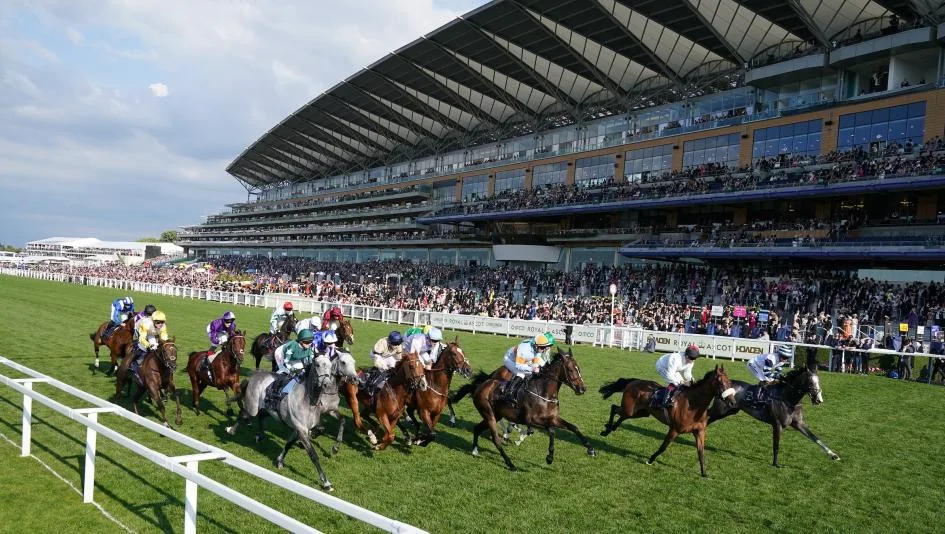 肯塔基德比竞猜特辑 - 8868.com