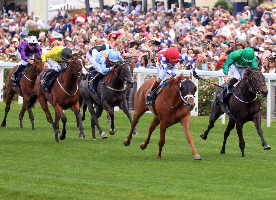 体育竞猜 - 骏马传奇 - 8868.com