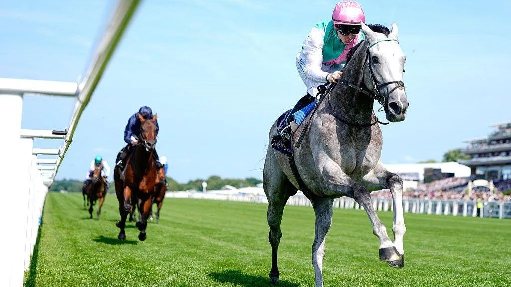 今日焦点赛事头号热门 - 赛马分析 - 8868.com