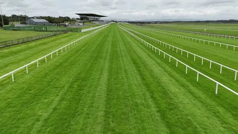 赛道适性分析 - 8868.com